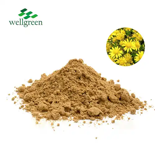 Chrysanthemum Extract Powder